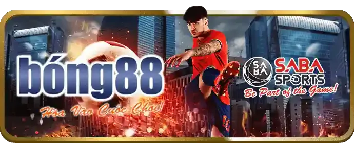 Cá cược thể thao m88sut win với các trận đấu bóng đá